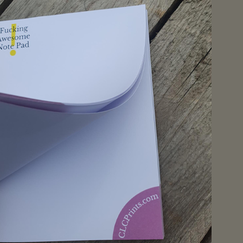 2 x Fucking Awesome Note Pads